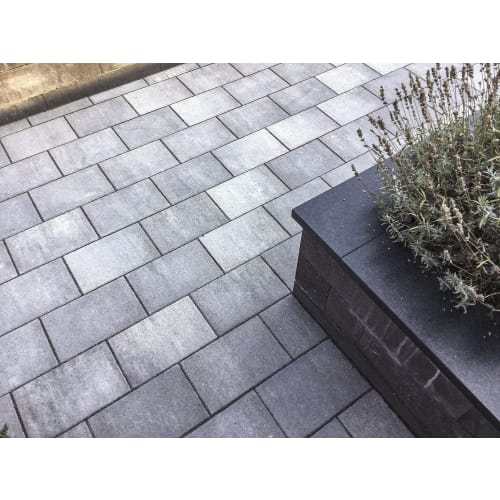 Premiton Linea Lanzarote