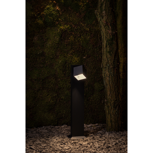 Sus Cube Mono