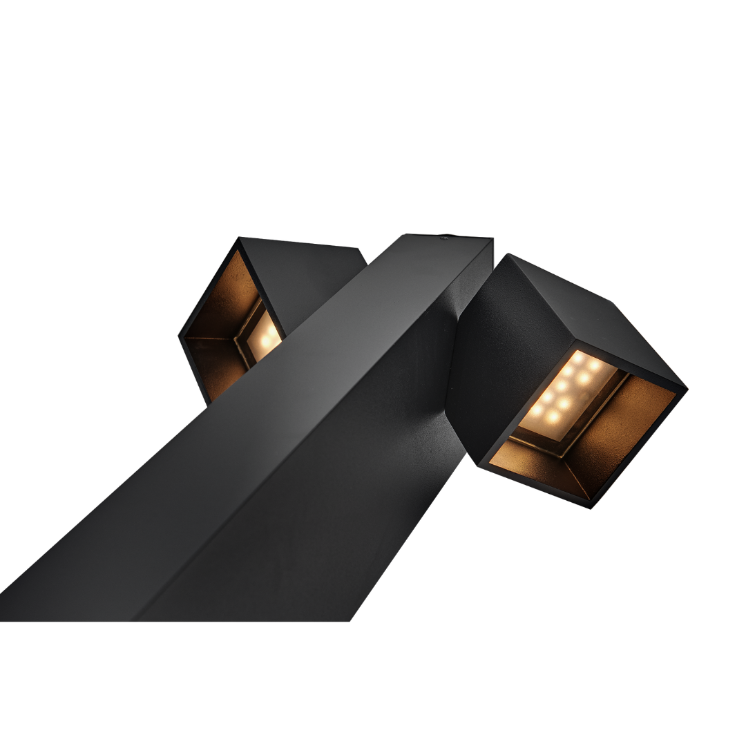 Sus Cube Duo
